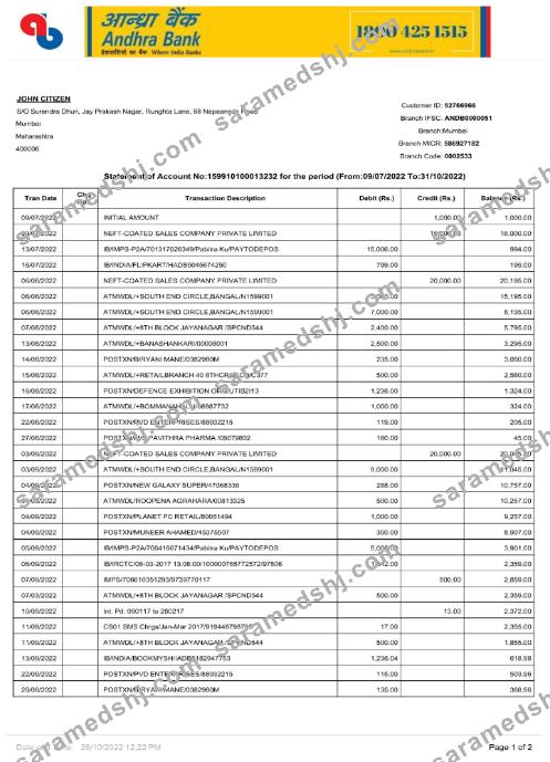 India Andhra bank statement Word and PDF template, 2 pages p1